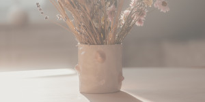 Beitragsbild des Blogbeitrags ANNA RIESS – BOOBPOT
