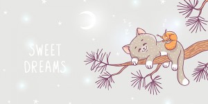 Beitragsbild des Blogbeitrags Wenn kleine Tiere nicht schlafen wollen 