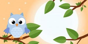 Beitragsbild des Blogbeitrags Wie kleine Tiere schlafen gehen 