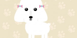 Beitragsbild des Blogbeitrags Pipi und der Pudelprinz