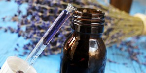 Beitragsbild des Blogbeitrags Bachblüten für Kinder: Sanfte Hilfe fürs seelische Gleichgewicht 