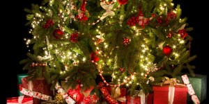Beitragsbild des Blogbeitrags Weihnachtsgeschenke für die ganze Famillie – von Jung bis Alt