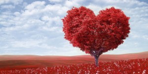 Beitragsbild des Blogbeitrags Selbstliebe – Lieb dich so wie du bist