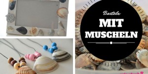 Beitragsbild des Blogbeitrags DIY: Basteln mit Muscheln