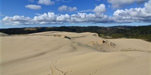 Beitragsbild des Blogbeitrags Ninety Mile Beach 