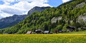 Beitragsbild des Blogbeitrags Gössl
