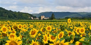 Beitragsbild des Blogbeitrags Château de Marqueyssac 