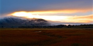 Beitragsbild des Blogbeitrags Grand Teton National Park 