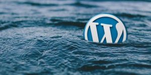 Beitragsbild des Blogbeitrags WordPress 4.7.2 + W3 Total Cache = Error 500