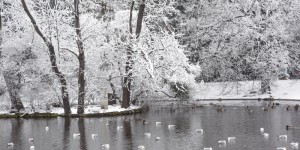 Beitragsbild des Blogbeitrags Stadtpark #vienna #beginningOfwinter #winterwonderland #Weinachtenstehtvordertür