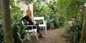Beitragsbild des Blogbeitrags Palmenhaus Schönbrunn #SummerinWinter #holidayfeeling #Vienna