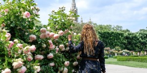Beitragsbild des Blogbeitrags Der Volksgarten versinkt im Rosen-Meer – ein kleines Stadtmärchen…
