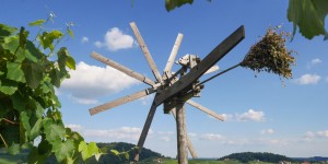 Beitragsbild des Blogbeitrags südsteirische Weinstraße – meine Highlights