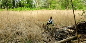 Beitragsbild des Blogbeitrags Stadtwanderweg 9 – durch den grünen Prater – Urwald mitten in Wien 