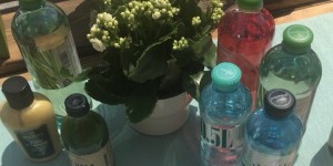 Beitragsbild des Blogbeitrags Streetfood City Laxenburg