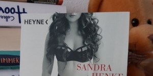 Beitragsbild des Blogbeitrags (Rezension) Henke, Sandra - Die Unterweisung