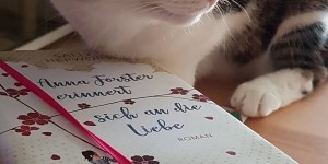 Beitragsbild des Blogbeitrags (Rezension) Hepworth, Sally - Anna Forster erinnert sich an die Liebe