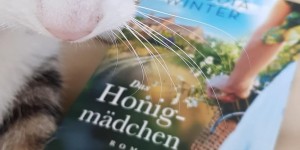 Beitragsbild des Blogbeitrags (Rezension) Winter, Claudia - Das Honigmädchen
