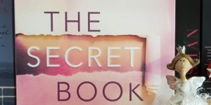 Beitragsbild des Blogbeitrags (Rezension) Adams, Lyssa Kay - The Secret Book Club #1 Ein fast perfekter Liebesroman