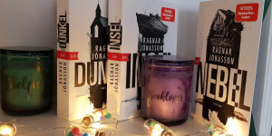 Beitragsbild des Blogbeitrags Jonasson, Ragnar - Nebel Huldatrilogie #3