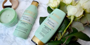 Beitragsbild des Blogbeitrags |Sponsored Post| Dessange Professional Hair Luxury - Erlesene Tonerde