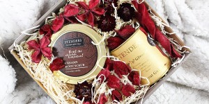 Beitragsbild des Blogbeitrags Review: Stenders Creamy Bodyscrub & 24-Karat Gold Silk