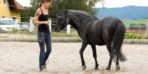 Beitragsbild des Blogbeitrags Hör auf dein Herz! Warum du dich von deiner Intuition leiten lassen solltest. 