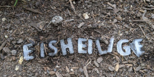 Beitragsbild des Blogbeitrags Eisheilige 2021 – Tipps für den Garten