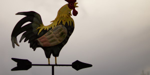 Beitragsbild des Blogbeitrags Bonifatius von Tarsus: Bauernregeln und Infos