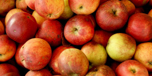 Beitragsbild des Blogbeitrags Apfelsaft selbst machen