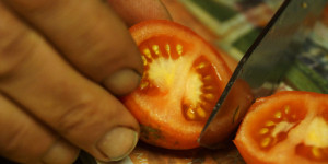 Beitragsbild des Blogbeitrags Tomatensamen selbst gewinnen