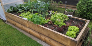 Beitragsbild des Blogbeitrags Die richtige Holzart für Gartenmöbel und Terrasse 