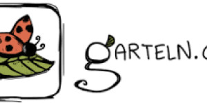 Beitragsbild des Blogbeitrags Kartoffeln selbst anbauen – Videotipp
