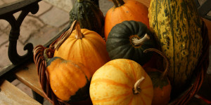 Beitragsbild des Blogbeitrags Bauernregeln im September