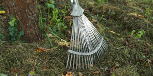 Beitragsbild des Blogbeitrags Garten auf den Winter vorbereiten
