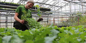 Beitragsbild des Blogbeitrags Gartenarbeit im März