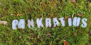 Beitragsbild des Blogbeitrags Pankratius – Infos und Bauernregeln