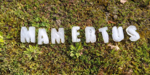Beitragsbild des Blogbeitrags Mamertus – Infos und Bauernregeln