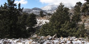 Beitragsbild des Blogbeitrags Tavri Askifou Sfakia Kreta