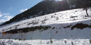 Beitragsbild des Blogbeitrags Die besten Neujahrswünsche vom Omalos Chania Kreta