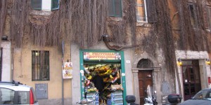 Beitragsbild des Blogbeitrags Roma urbs aeterna