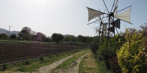 Beitragsbild des Blogbeitrags Die Windmühlen auf der Lasithi Hochebene 