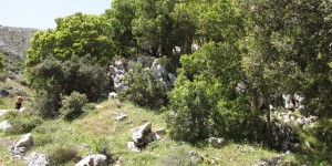 Beitragsbild des Blogbeitrags Der Weg zur Dias Höhle in Lasithi