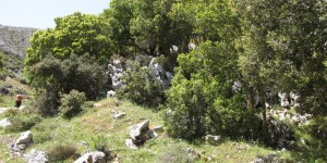 Beitragsbild des Blogbeitrags Der Weg zur Dias Höhle in Lasithi 