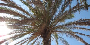 Beitragsbild des Blogbeitrags Ein schöner Nachmittag in Agia Marina