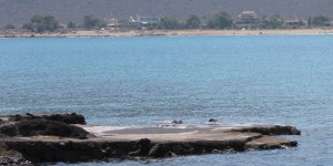 Beitragsbild des Blogbeitrags Blue Beach