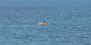 Beitragsbild des Blogbeitrags Gerani
