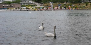 Beitragsbild des Blogbeitrags An der Wiener Donau