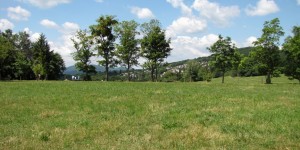 Beitragsbild des Blogbeitrags Erholungsgebiet Steinhofgründe in Wien