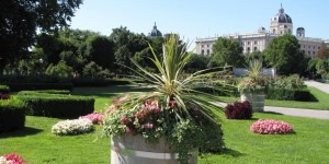 Beitragsbild des Blogbeitrags Der Volksgarten in Wien 